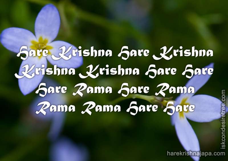 Hare Krishna Maha Mantra in Portuguese 022