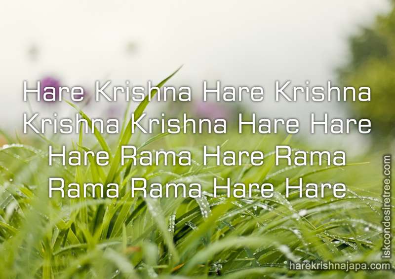 Hare Krishna Maha Mantra in French 028