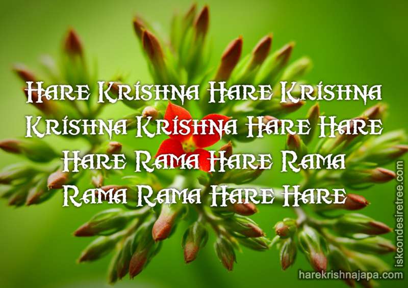 Hare Krishna Maha Mantra in French 030