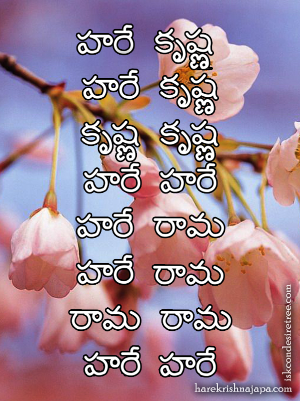 Hare Krishna Maha Mantra in Telugu 025