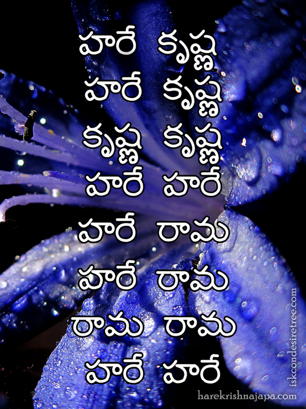 Hare Krishna Maha Mantra in Telugu 029