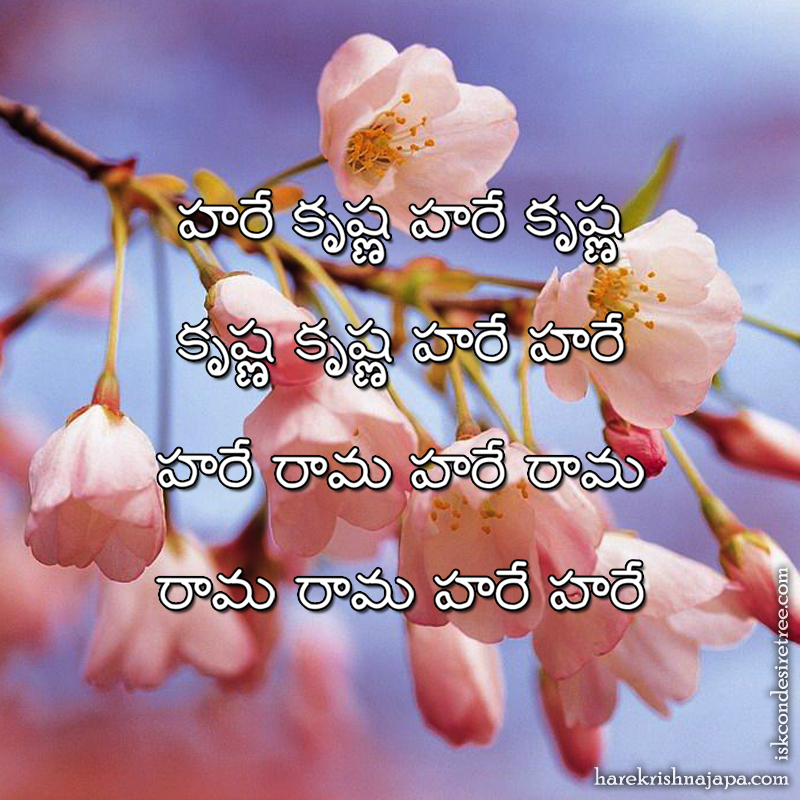 Hare Krishna Maha Mantra in Telugu 025