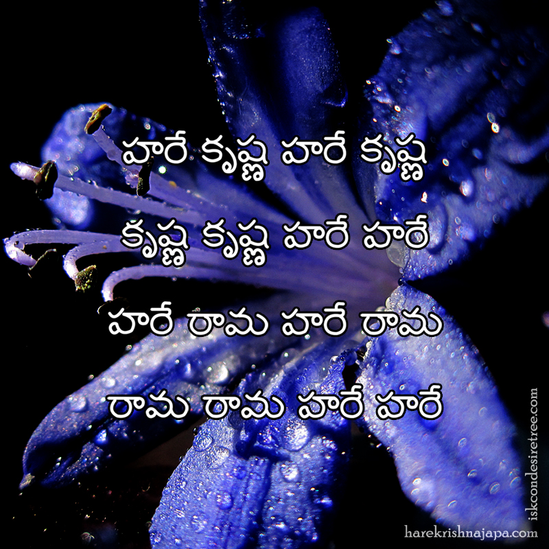 Hare Krishna Maha Mantra in Telugu 029