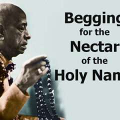 Begging For The Nectar of The Holy Name