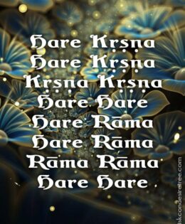Hare Krishna Maha Mantra 006