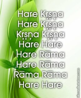 Hare Krishna Maha Mantra 010