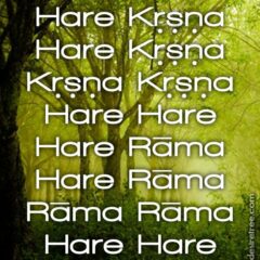 Hare Krishna Maha Mantra 012