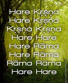 Hare Krishna Maha Mantra 012