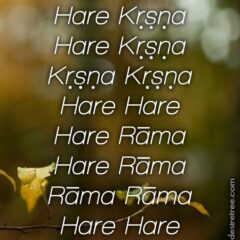 Hare Krishna Maha Mantra 013