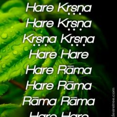 Hare Krishna Maha Mantra 014