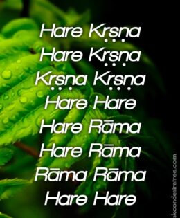 Hare Krishna Maha Mantra 014