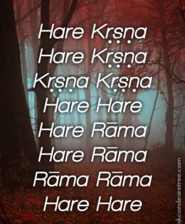 Hare Krishna Maha Mantra 015