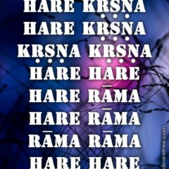 Hare Krishna Maha Mantra 016