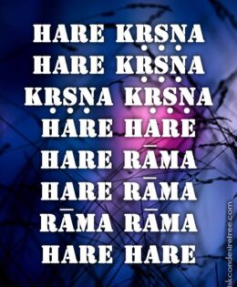 Hare Krishna Maha Mantra 016