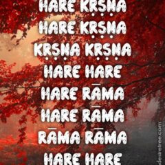 Hare Krishna Maha Mantra 017