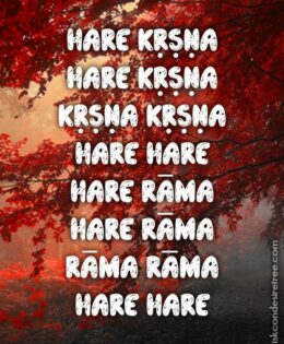 Hare Krishna Maha Mantra in Portuguese 006