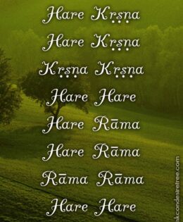 Hare Krishna Maha Mantra 023