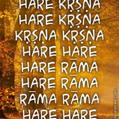 Hare Krishna Maha Mantra 024