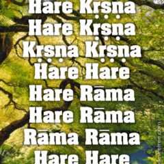 Hare Krishna Maha Mantra 025