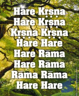 Hare Krishna Maha Mantra 025