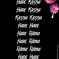 Hare Krishna Maha Mantra 028