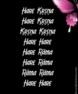 Hare Krishna Maha Mantra 028