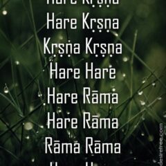 Hare Krishna Maha Mantra 030