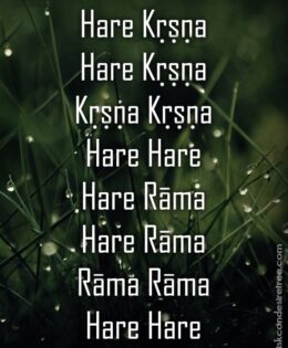 Hare Krishna Maha Mantra 030