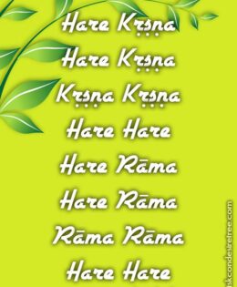 Hare Krishna Maha Mantra 031