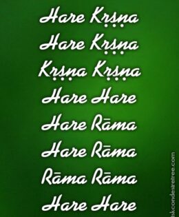 Hare Krishna Maha Mantra 033