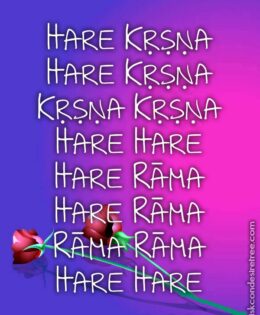 Hare Krishna Maha Mantra 037