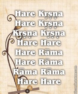 Hare Krishna Maha Mantra 042