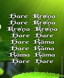 Hare Krishna Maha Mantra in Portuguese 014