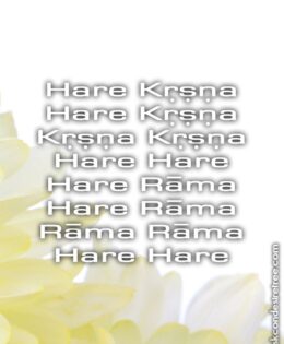 Hare Krishna Maha Mantra 059