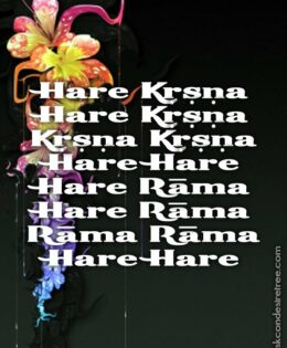 Hare Krishna Maha Mantra in Portuguese 018