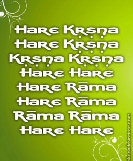 Hare Krishna Maha Mantra 068