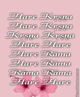 Hare Krishna Maha Mantra in Portuguese 017