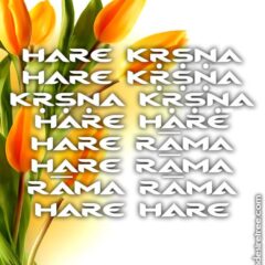 Hare Krishna Maha Mantra in Portuguese 016