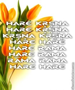 Hare Krishna Maha Mantra in Portuguese 016