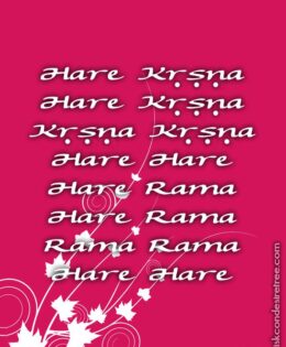 Hare Krishna Maha Mantra 075