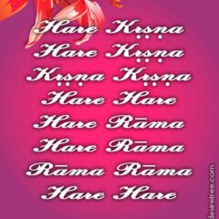 Hare Krishna Maha Mantra in Portuguese 020