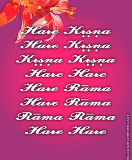 Hare Krishna Maha Mantra in Portuguese 020