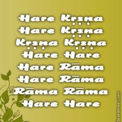 Hare Krishna Maha Mantra 081