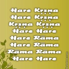 Hare Krishna Maha Mantra 081