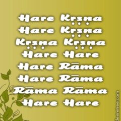 Hare Krishna Maha Mantra 081