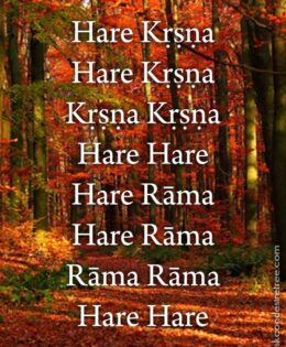 Hare Krishna Maha Mantra 088