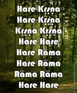 Hare Krishna Maha Mantra 090