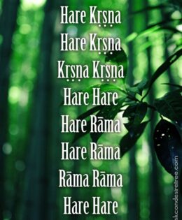 Hare Krishna Maha Mantra 094