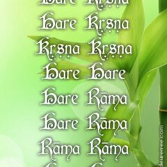 Hare Krishna Maha Mantra 095