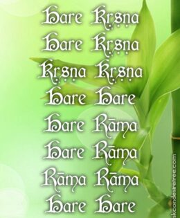 Hare Krishna Maha Mantra 095